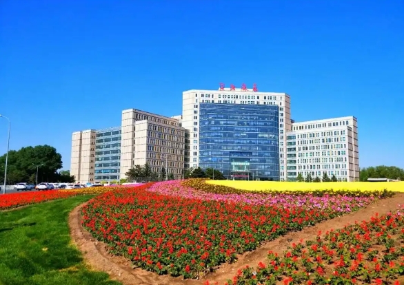 轮播图片